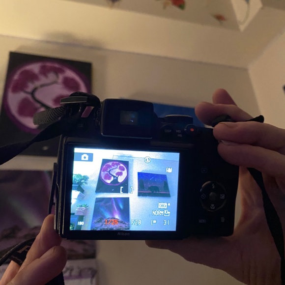 Nixon Coolpix P100 - Picture 5 of 6